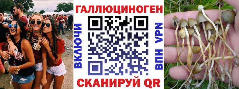 Галлюциногенные грибы прущие грибы  Серафимович 